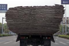 �ζϰ��׾��������� ��Ҳ������������