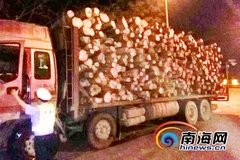 ���������ϲ鳬�޳� ��Υ�����̳�65��