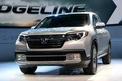 �����Ӳ��Ӳ ���﷢����RidgelineƤ��