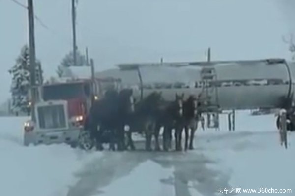 ��ҳ�ѩ����'��'&nbsp;�����ɹ���Ϯ��Ԯ��