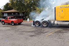 Ƥ�������ſ����ܣ���κӱ�������è��