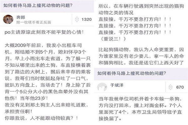 ��������&nbsp;��·�Ϻ��ֱײ��С����