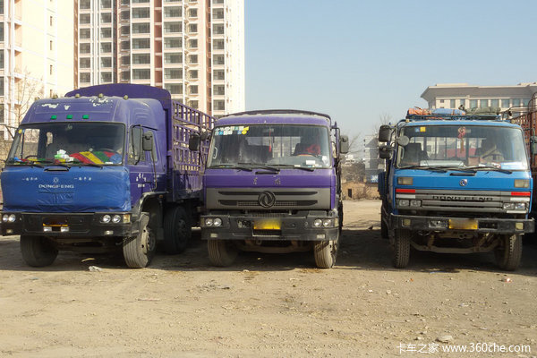 ���ܷ�ǵã�&nbsp;����������ɫ���翵��˹