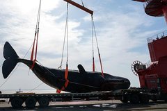 ����������Ĩ�㾨����ҳ�ר����һ�