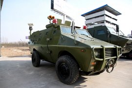 战场上的运输者 4x4装甲运输车实拍图秀