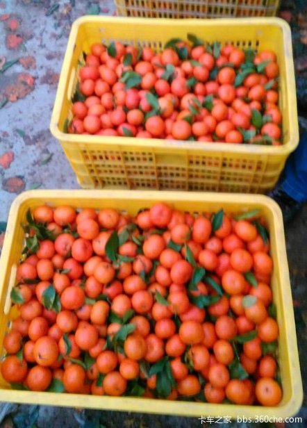 ���ѹ��£����Ӳ��ִ�С��׬Ǯ���Ǻó�