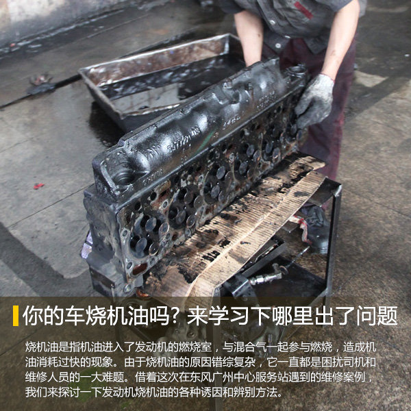 你的车烧机油吗? 来学习下哪里出了问题