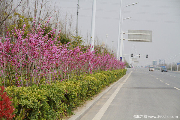 Ԥ����������С����&nbsp;���ǻ�֪����Щ��