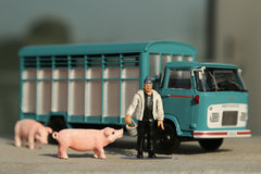 �Ϳɰ�С�� ELIGOR Hotchkiss��ģ����