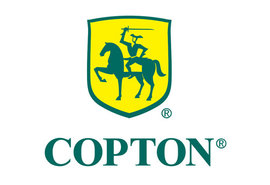 康普顿借力资本市场