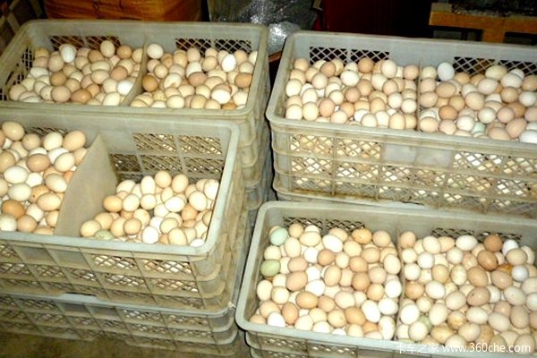 ר��ŷ���ɵ�������&nbsp;��ˮֻΪ�����Ҹ�