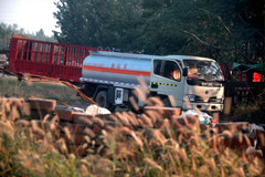 �����Ž���ֹ�� �ڳ�������������ҩ