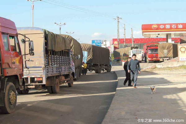 �����Ž���ֹ��&nbsp;�ڳ�������������ҩ