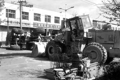 ����������ͷ��Ⱥ�� ˾���е�˭�Ĵ���