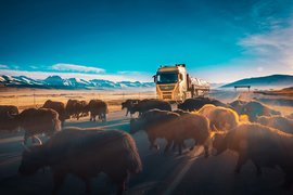 东风商用亮相北京车展