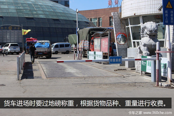 春风十里 探访哈尔滨哈达果菜批发市场