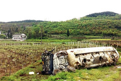 ������Ҫ�޶��⳥ ���������ѡ�������