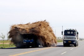 102国道罚款多 机智卡友选辽宁滨海大道