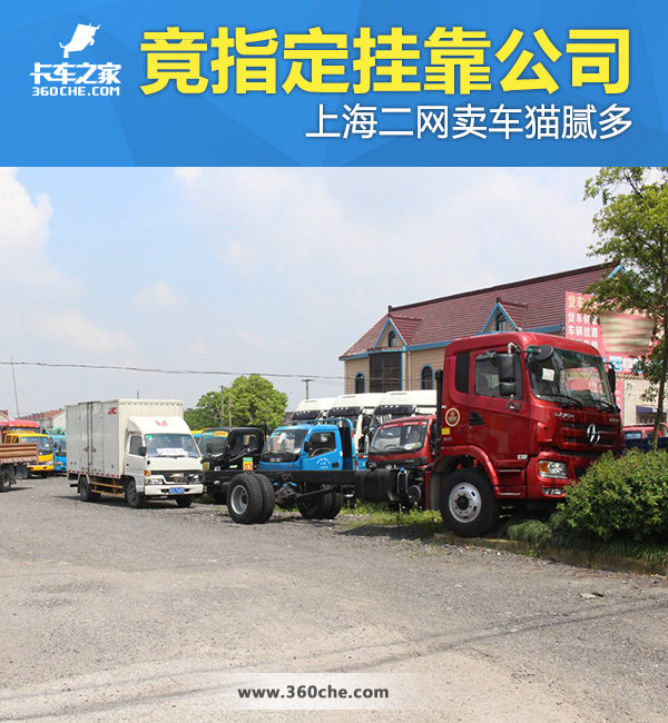 ��Ȼָ���ҿ���˾&nbsp;�Ϻ���������è���