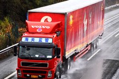 ǿ����������ʯ�� ȫ������