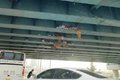 桥都塌了还跑? 外地货车上海高架又惹祸