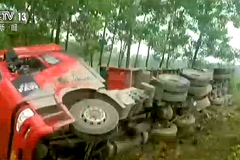 ������ �����෭ơ��ɢ�����������