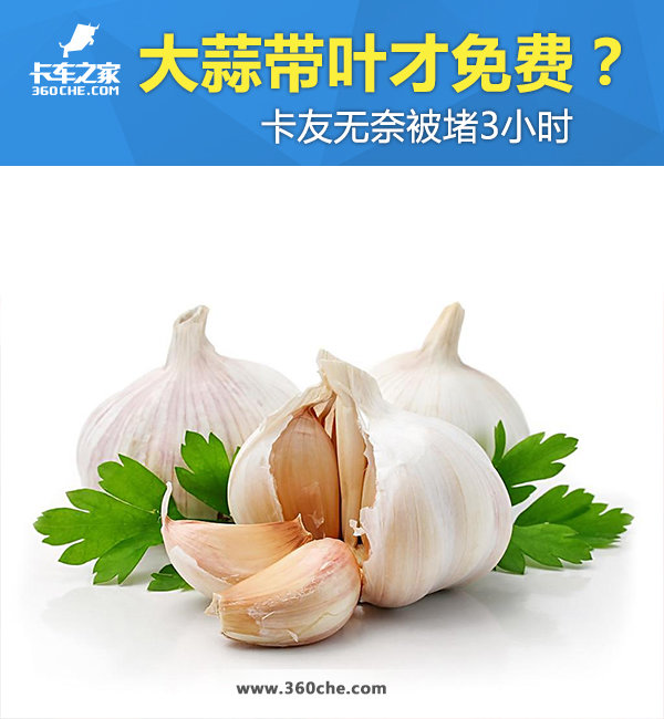 ������Ҷ�Ӳ����?&nbsp;�������α���3Сʱ