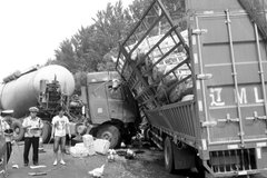 �޳�ײ�ϴ���� ���조�ɼ����ò�����