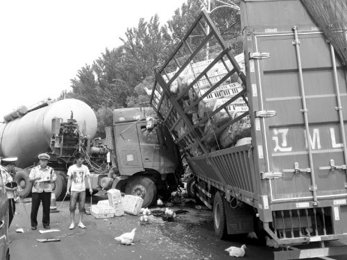 �޳�ײ�ϴ����&nbsp;���조�ɼ����ò�����