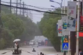 洪水当前：哪些卡车企业参与了抗洪抢险
