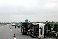 �ֵ���̥�߷��� �������ٱ�̥�����෭