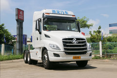 �ųƹ�������