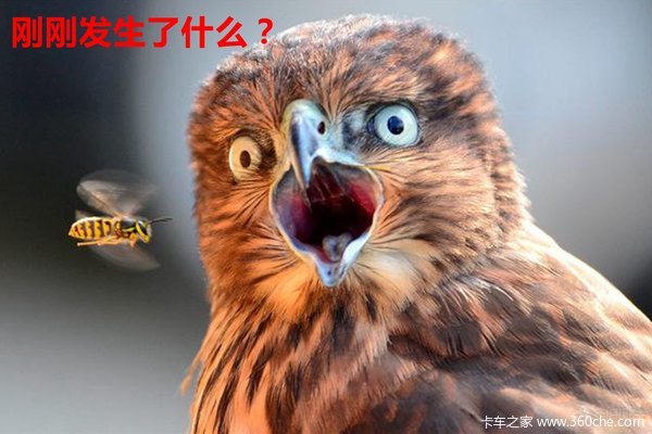 ����˾��������(6)&nbsp;����ɽ���Ͽ�������