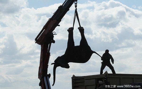 500头大象搬家咋整?看随车吊都动手了