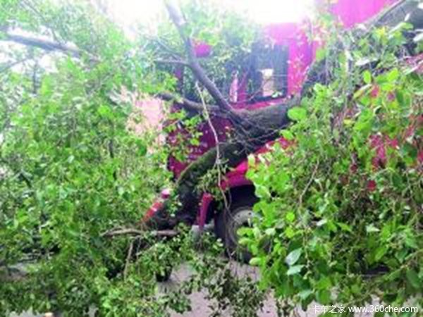 ˾��ײ������ˮ����&nbsp;���񿪿ھ�Ҫ30��