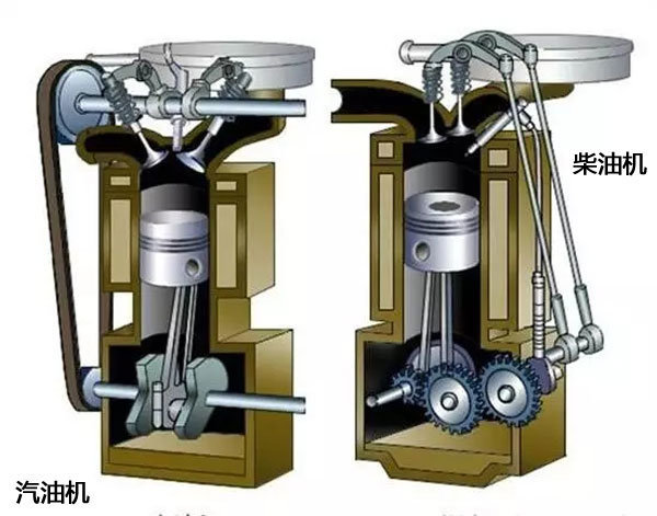 ��Ч��Ű���ͻ�&nbsp;С����ͷ�������֪ʶ