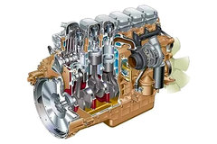 ��Ч��Ű���ͻ� С����ͷ�������֪ʶ