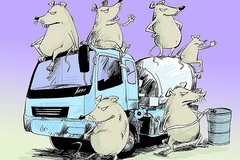 ����͵��������ء� ����ʦ�����ͺ���