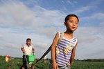 留守还是跟车? 暑期孩子们在家都干啥