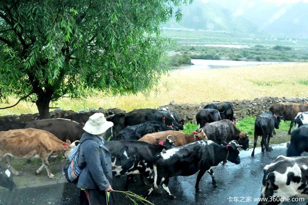 ���ν�����ɥ��&nbsp;�׷�署������ȫ����