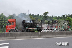 ���ص�ʯ��������·��� ������������