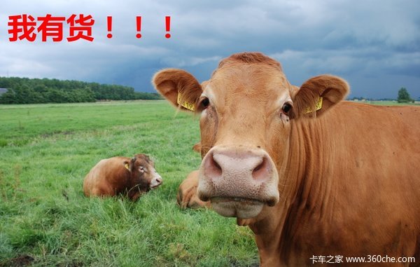 εǣŲ ƥҲսһҶ?