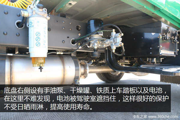 经典长头绿蛤蟆 便宜经济安全他都有