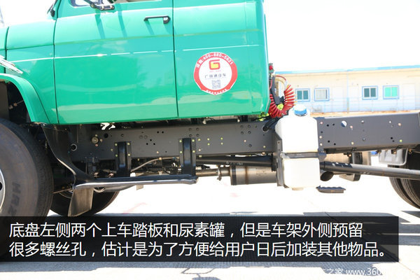 经典长头绿蛤蟆 便宜经济安全他都有