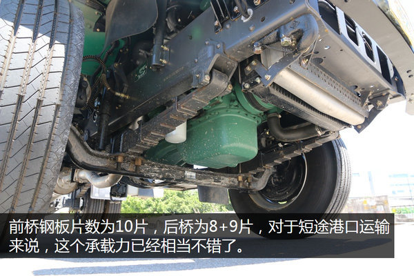 经典长头绿蛤蟆 便宜经济安全他都有