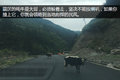 探访神秘川西藏区 领略别样的风土人情