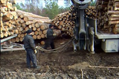 ����������貽 ȫ�ҳ�˾�����������?