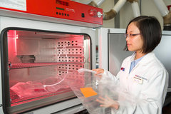 �����ڿƼ� �¹����ƿ�����ζ�Ż�����