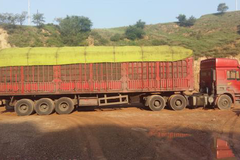 ԭƽ�γ��쾪�֡��ٶ��������۳�������