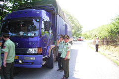 ��ǿ�������� ������򿨳��������г� 